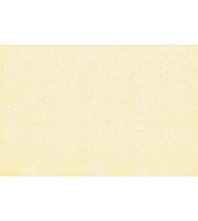 ΤΑΠΕΤΣΑΡΙΑ SALINASNEW ΣΤΟΚ Π.Χ 29001 NewPlan