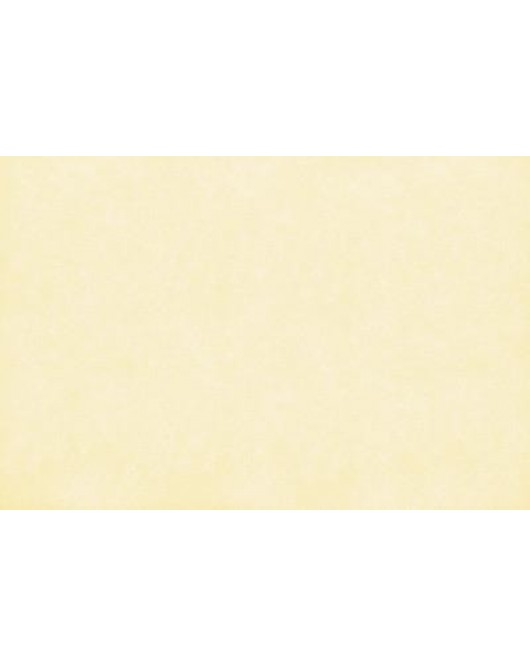 ΤΑΠΕΤΣΑΡΙΑ SALINASNEW ΣΤΟΚ Π.Χ 29001 NewPlan