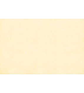 ΤΑΠΕΤΣΑΡΙΑ SALINASNEW ΣΤΟΚ Π.Χ 29004 NewPlan