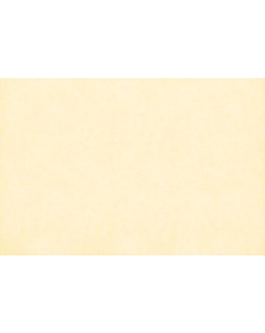 ΤΑΠΕΤΣΑΡΙΑ SALINASNEW ΣΤΟΚ Π.Χ 29004 NewPlan