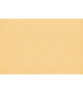 ΤΑΠΕΤΣΑΡΙΑ SALINASNEW ΣΤΟΚ Π.Χ29005 NewPlan