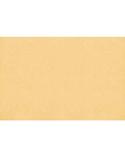 ΤΑΠΕΤΣΑΡΙΑ SALINASNEW ΣΤΟΚ Π.Χ29005 NewPlan