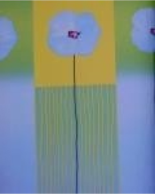 05750-10 ΣΤΟΚ Π.Χ TIFFANY ΤΑΠΕΤΣΑΡΙΑ ΤΟΙΧΟΥP&S NewPlan