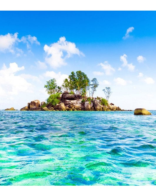 1619FTL ΣΤΟΚ Π.Χ ΦΩΤΟΤΑΠΕΤΣΑΡΙΑ Τ CREATIVE XL A&G 180*202 NewPlan