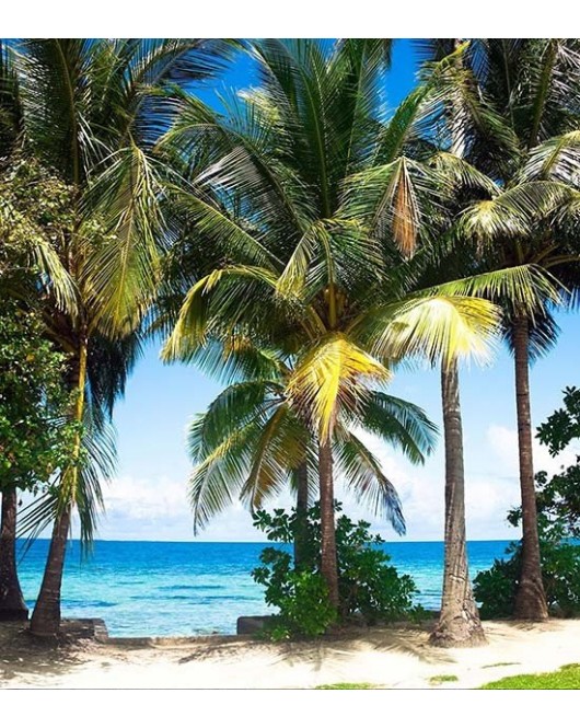 1610FTL ΣΤΟΚ Π.Χ ΦΩΤΟΤΑΠΕΤΣΑΡΙΑ Τ CREATIVE XL A&G 180*202 NewPlan