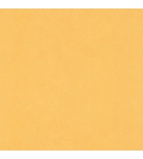 ΤΑΠΕΤΣΑΡΙΑ LES AVENTURES ΣΤΟΚ Π.Χ 11060302 NewPlan