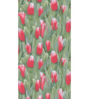 ΤΑΠΕΤΣΑΡΙΑ REALITY ΣΤΟΚ Π.Χ 51124610 NewPlan