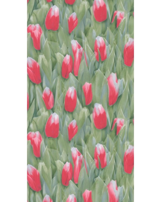 ΤΑΠΕΤΣΑΡΙΑ REALITY ΣΤΟΚ Π.Χ 51124610 NewPlan