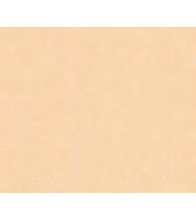 123388 ΣΤΟΚ Π.Χ ΒΑΜΒΙΝΟNEW TAΠ.ΤΟΙΧΟΥ RASCH NewPlan