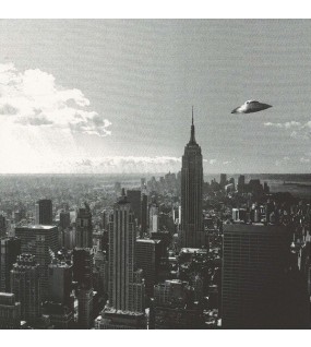 36100209 ΣΤΟΚ Π.Χ POPIER PEINT ΤΑΠΕΤΣ.ΤΟΙΧΟΥ LUTECE ΣΤΟΚ Π.Χ. NewPlan