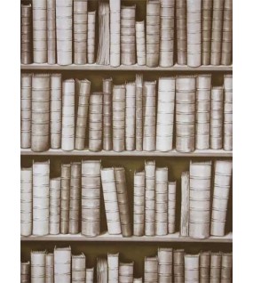 92307F ΣΤΟΚ Π.Χ MAGNIFIQUE ΤΑΠΕΤΣΑΡΙΑ ΤΟΙΧΟΥ UGEPA NewPlan