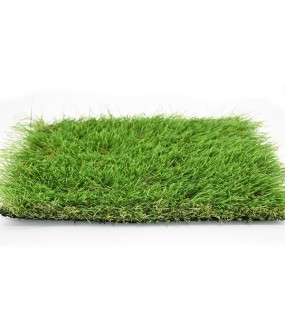 ΓΚΑΖΟΝ CAMEO 38mm ΣΤΟΚ Π.Χ 4Μ NewPlan