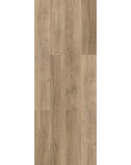 FORTIKA SPC ΒΙΝΥΛΙΚH ΛΩΡΙΔΑ 5mm BONEGA 1304 NewPlan