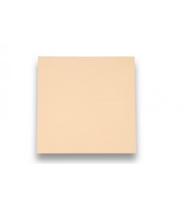 226 ΠΛΑΚΑΚΙ PAVIFLEX INTENSITY 1.6mm ΣΤΟΚ Π.Χ. NewPlan
