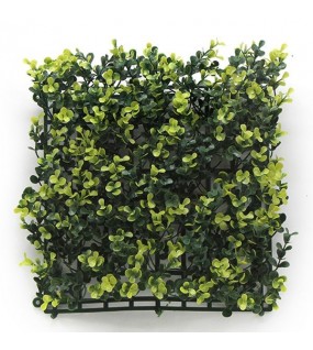 ΠΑΝΕΛ ΦΥΛΛΩΣΙΑΣ BERLIN 50 Χ 50 A003 BUXUS NewPlan