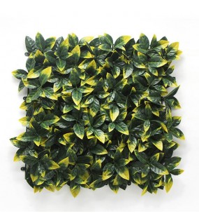 ΠΑΝΕΛ ΦΥΛΛΩΣΙΑΣ BERLIN 50 Χ 50 A017 PHOTINIA NewPlan