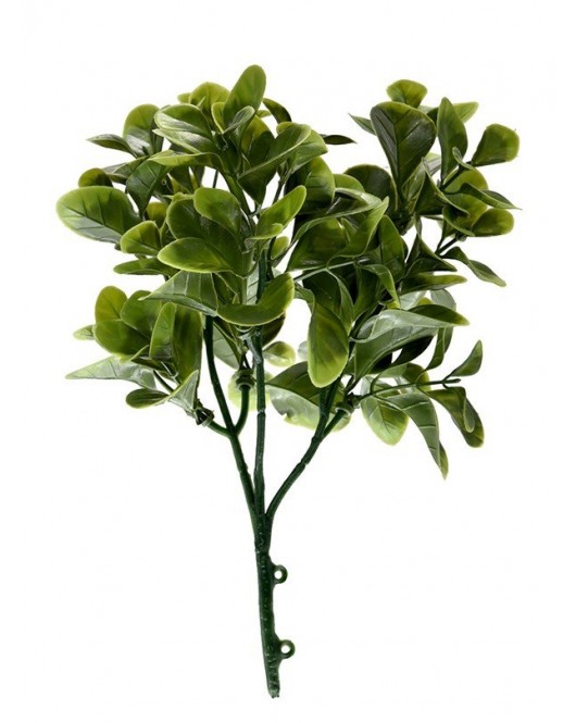 ΔΙΑΚΟΣΜΗΤΙΚΟ ΜΠΟΥΚΕΤΟ (SET 10ΤΜΧ) AMALFI W004 JADE LEAF NewPlan