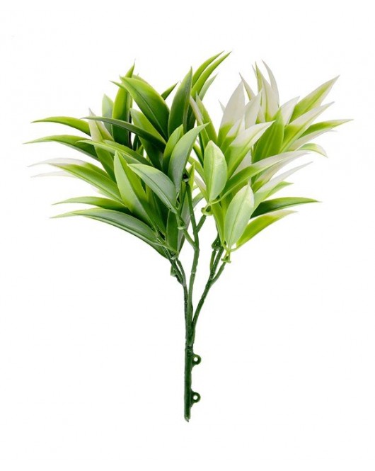 ΔΙΑΚΟΣΜΗΤΙΚΟ ΜΠΟΥΚΕΤΟ (SET 10ΤΜΧ) AMALFI W007 PODOCARPUS NAGI NewPlan