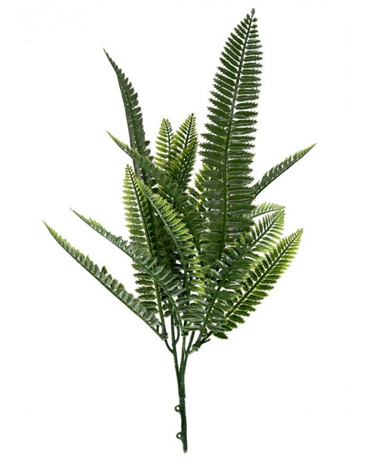 ΔΙΑΚΟΣΜΗΤΙΚΟ ΜΠΟΥΚΕΤΟ (SET 10ΤΜΧ) AMALFI W027 SPLEENWORT NewPlan