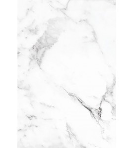PVC MEGA PANEL 2.8/1220/2800mm CARRARA BIANCO 101 NewPlan