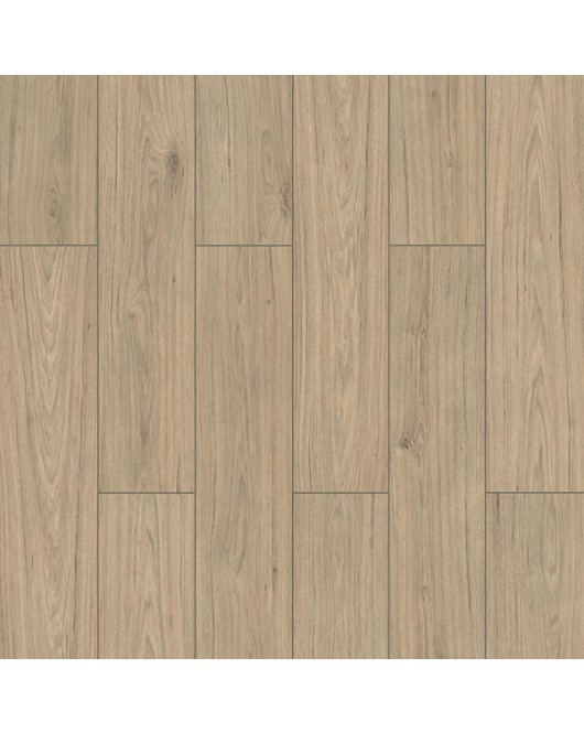 ΔΑΠΕΔΟ LAMINATE WINGS 4V 8mm 003 HAWK NewPlan