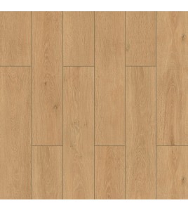 ΔΑΠΕΔΟ LAMINATE WINGS 4V 8mm 010 LARK NewPlan